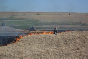 PrescribedBurning