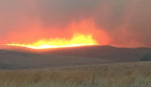 Commanche+Co.+Grass+Fire