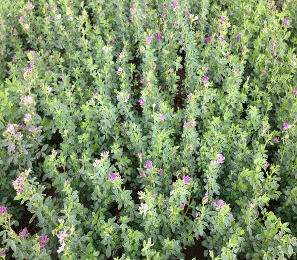 eUpdate08122016-A02-F02