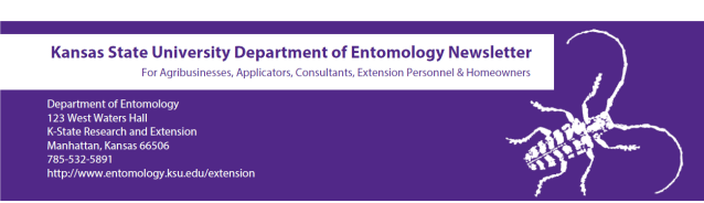 KSU Entomology Newsletter