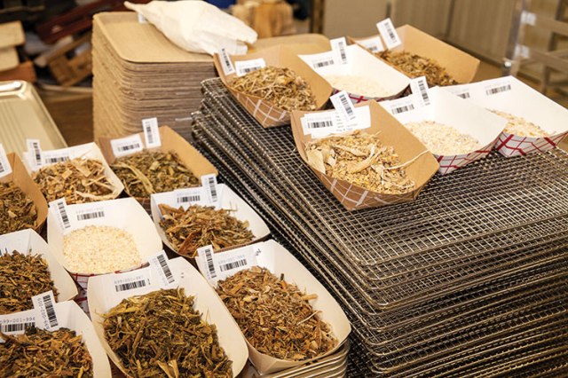 HFG-18-silage-sampling.3074