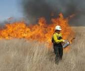 prescribedburning2