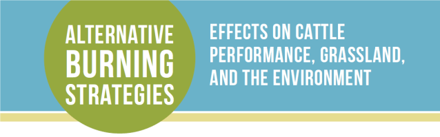 Alternative Burning Strategies