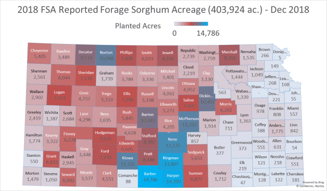 Forage Sorghum