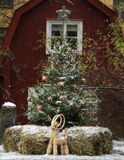 537dd32dfe1d261827669b37b17547cf