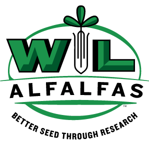 W-L Alfalfas