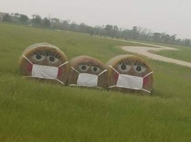 FB_IMG_1584916724710 (002)