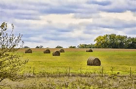hay bales